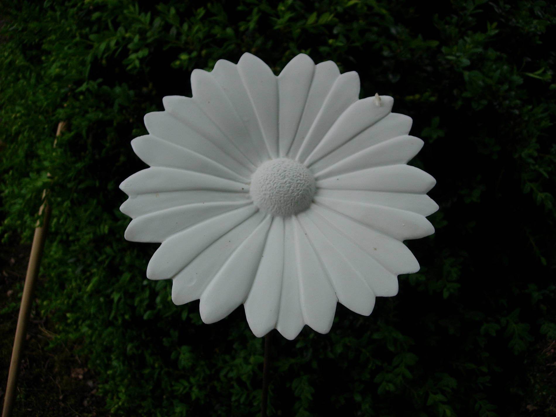 Jean-Louis Puivif - fleur de Marguerite en porcelaine de Limoges
