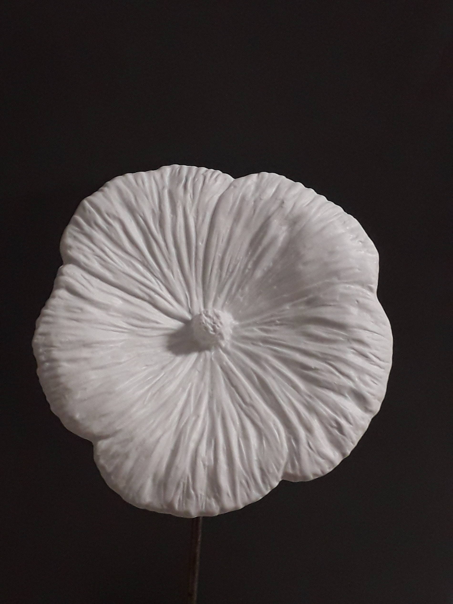 Jean-Louis Puivif - fleur de Physallis en porcelaine de Limoges